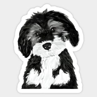 Simon Sticker